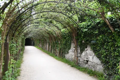 DSC_6127 (Large).JPG